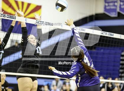 Thumbnail 1 in Yuma @ Cactus photogallery.