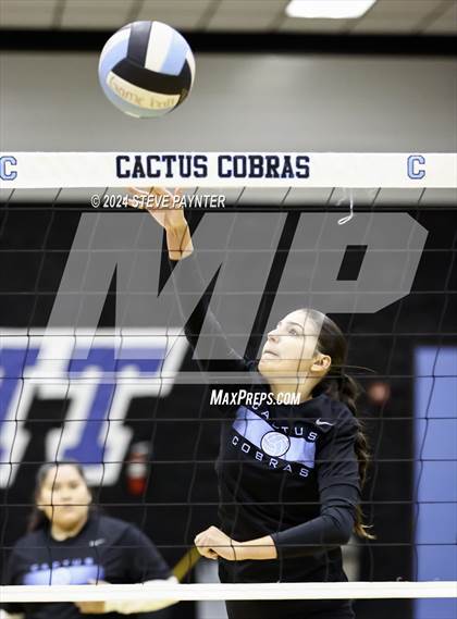 Thumbnail 2 in Yuma @ Cactus photogallery.