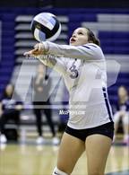 Photo from the gallery "Yuma @ Cactus"