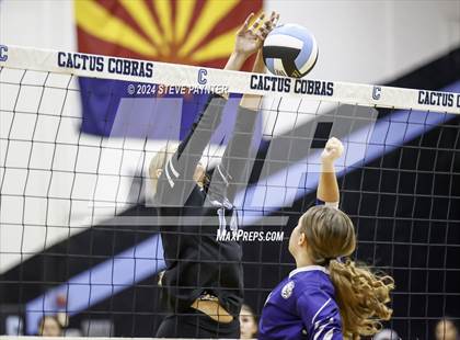 Thumbnail 3 in Yuma @ Cactus photogallery.