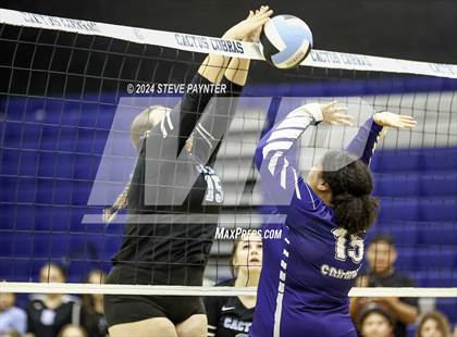 Thumbnail 1 in Yuma @ Cactus photogallery.
