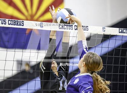 Thumbnail 2 in Yuma @ Cactus photogallery.