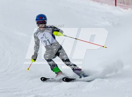 Thumbnail 1 in NYSPHAA Section V Class A&B Giant Slalom Final (First Run) photogallery.