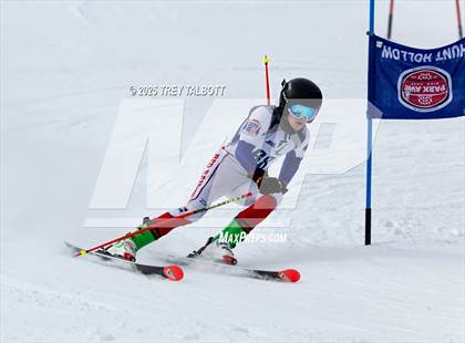 Thumbnail 1 in NYSPHAA Section V Class A&B Giant Slalom Final (First Run) photogallery.