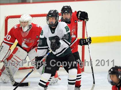 Thumbnail 1 in Brewster vs. Fox Lane (Icebreaker Tournament) photogallery.
