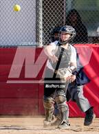 Photo from the gallery "Franklin @ Laguna Creek"