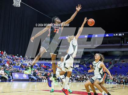 Thumbnail 3 in Ellison vs. Lancaster (UIL 5A Basketball Final) photogallery.