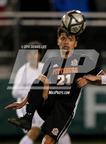 Thumbnail 3 in Pittsburg vs. De La Salle (CIF NCS D1 Semifinal) photogallery.
