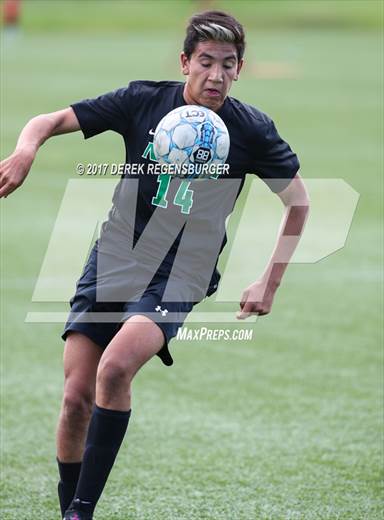null - Photo 21