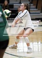 Photo from the gallery "Desert Ridge @ Basha"
