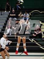 Photo from the gallery "Desert Ridge @ Basha"