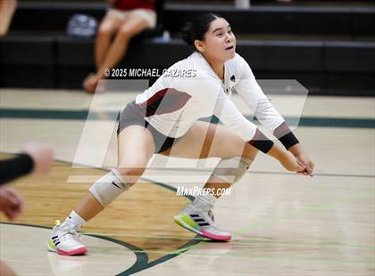 Thumbnail 3 in Desert Ridge @ Basha photogallery.