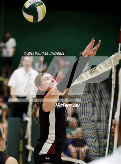 Thumbnail 3 in Desert Ridge @ Basha photogallery.