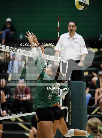 Thumbnail 3 in Desert Ridge @ Basha photogallery.