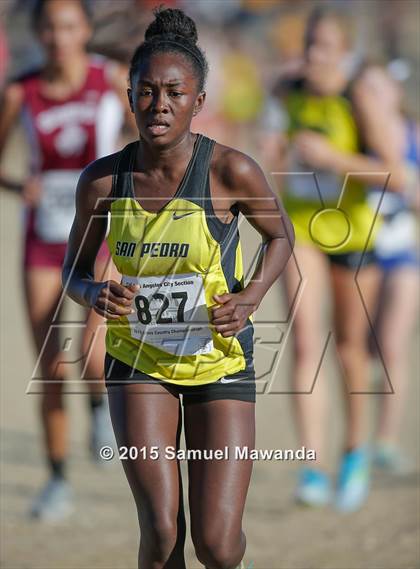 Thumbnail 2 in  CIF LACS Cross Country Championships (Girls) photogallery.
