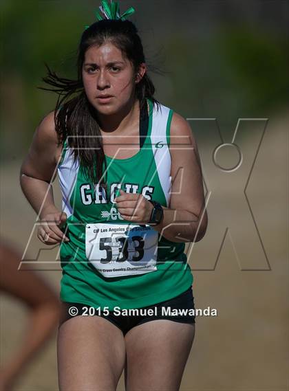 Thumbnail 2 in  CIF LACS Cross Country Championships (Girls) photogallery.