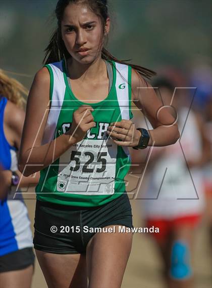 Thumbnail 1 in  CIF LACS Cross Country Championships (Girls) photogallery.