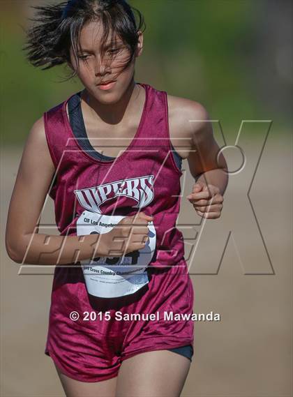 Thumbnail 3 in  CIF LACS Cross Country Championships (Girls) photogallery.