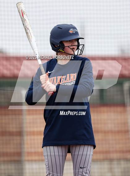 Thumbnail 1 in Lovejoy vs. Wakeland photogallery.