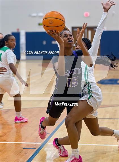 Thumbnail 3 in Spoto @ Sumner photogallery.