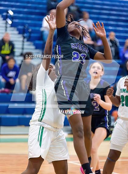 Thumbnail 2 in Spoto @ Sumner photogallery.