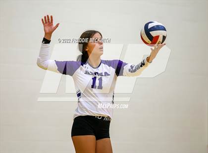 Thumbnail 3 in Anna vs. Denison (Denison Invitational Showcase) photogallery.