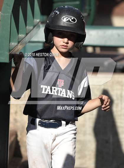 Thumbnail 2 in St. Margaret's vs. Saddleback Valley Christian photogallery.