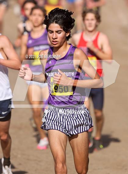 Thumbnail 2 in CIF State Cross Country Championships (Boys D1 Race) photogallery.