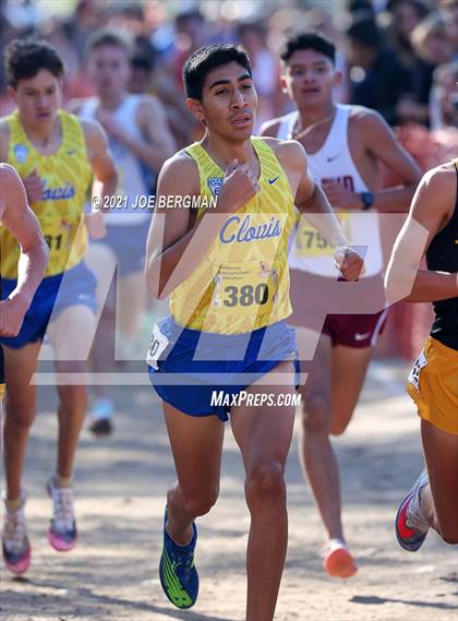 Thumbnail 3 in CIF State Cross Country Championships (Boys D1 Race) photogallery.