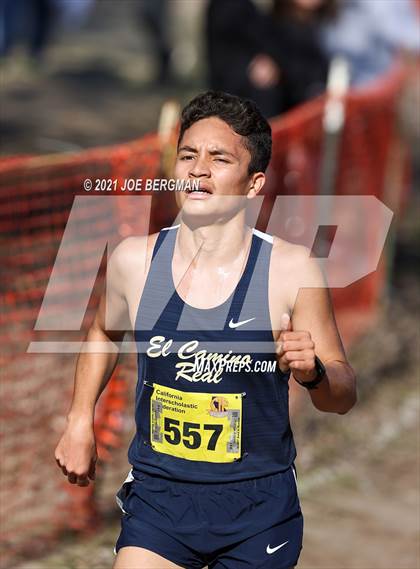 Thumbnail 1 in CIF State Cross Country Championships (Boys D1 Race) photogallery.