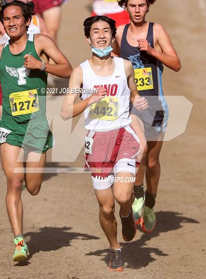 Thumbnail 1 in CIF State Cross Country Championships (Boys D1 Race) photogallery.
