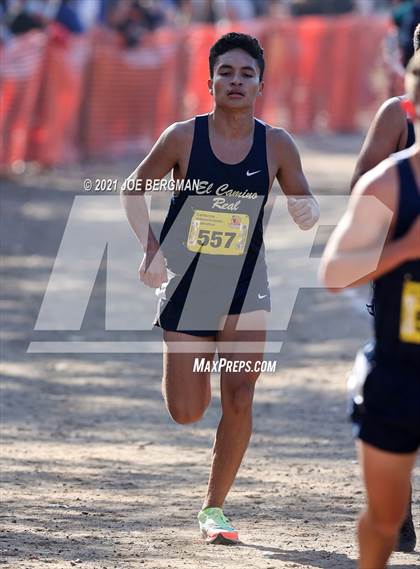 Thumbnail 3 in CIF State Cross Country Championships (Boys D1 Race) photogallery.