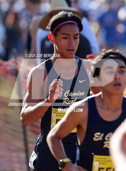 Thumbnail 3 in CIF State Cross Country Championships (Boys D1 Race) photogallery.