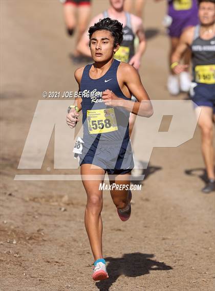 Thumbnail 1 in CIF State Cross Country Championships (Boys D1 Race) photogallery.