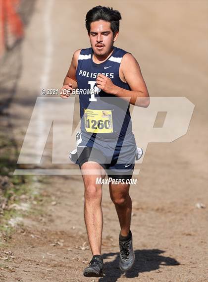 Thumbnail 1 in CIF State Cross Country Championships (Boys D1 Race) photogallery.