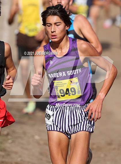 Thumbnail 1 in CIF State Cross Country Championships (Boys D1 Race) photogallery.