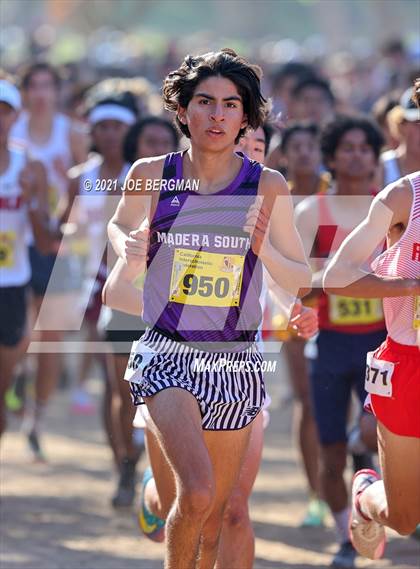 Thumbnail 1 in CIF State Cross Country Championships (Boys D1 Race) photogallery.