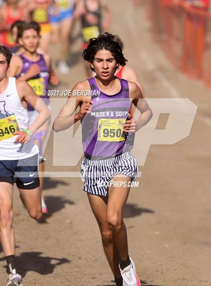 Thumbnail 1 in CIF State Cross Country Championships (Boys D1 Race) photogallery.