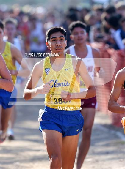 Thumbnail 1 in CIF State Cross Country Championships (Boys D1 Race) photogallery.