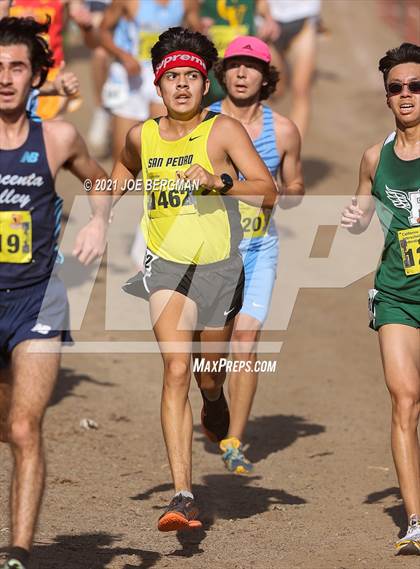 Thumbnail 1 in CIF State Cross Country Championships (Boys D1 Race) photogallery.