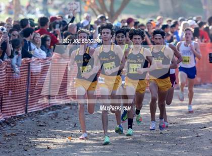 Thumbnail 2 in CIF State Cross Country Championships (Boys D1 Race) photogallery.