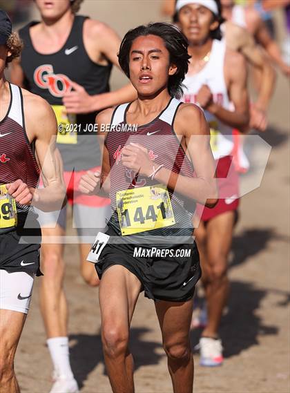Thumbnail 2 in CIF State Cross Country Championships (Boys D1 Race) photogallery.