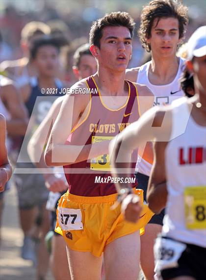 Thumbnail 3 in CIF State Cross Country Championships (Boys D1 Race) photogallery.
