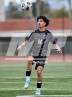 Photo from the gallery "Saint Francis @ Archbishop Mitty"