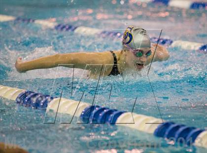 Thumbnail 1 in NYSPHSAA Girls Swimming Preliminaries photogallery.