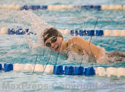 Thumbnail 1 in NYSPHSAA Girls Swimming Preliminaries photogallery.