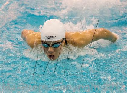 Thumbnail 3 in NYSPHSAA Girls Swimming Preliminaries photogallery.