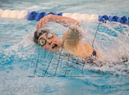 Thumbnail 1 in NYSPHSAA Girls Swimming Preliminaries photogallery.