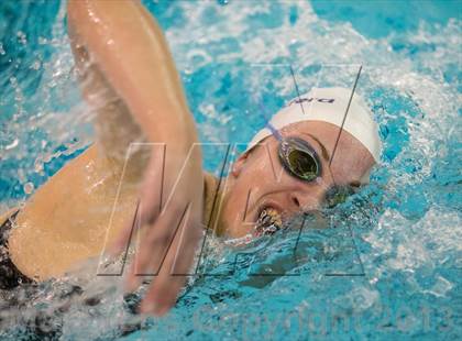 Thumbnail 3 in NYSPHSAA Girls Swimming Preliminaries photogallery.