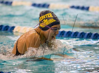 Thumbnail 1 in NYSPHSAA Girls Swimming Preliminaries photogallery.
